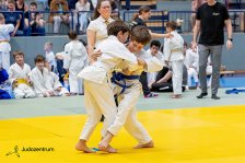 26.04.2026 Wachau JUDO Kids Cup